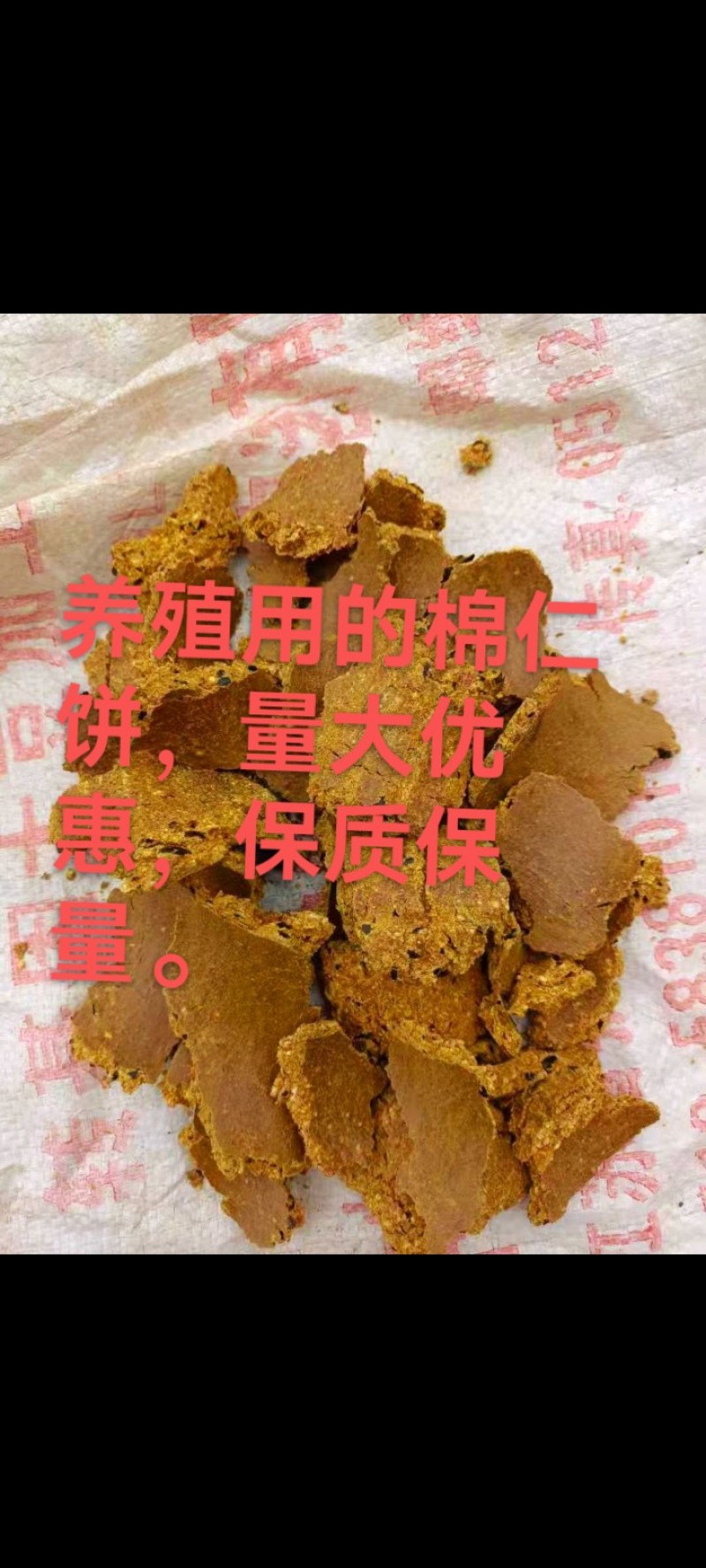 蓖麻饼种植用的好帮手，能杀虫，缓解土壤板结后期肥效棒棒的