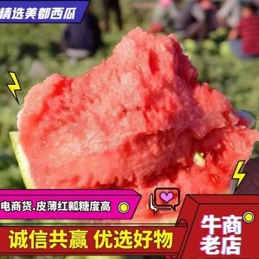 精品美都西瓜，沙地西瓜，代发全国，产地直发