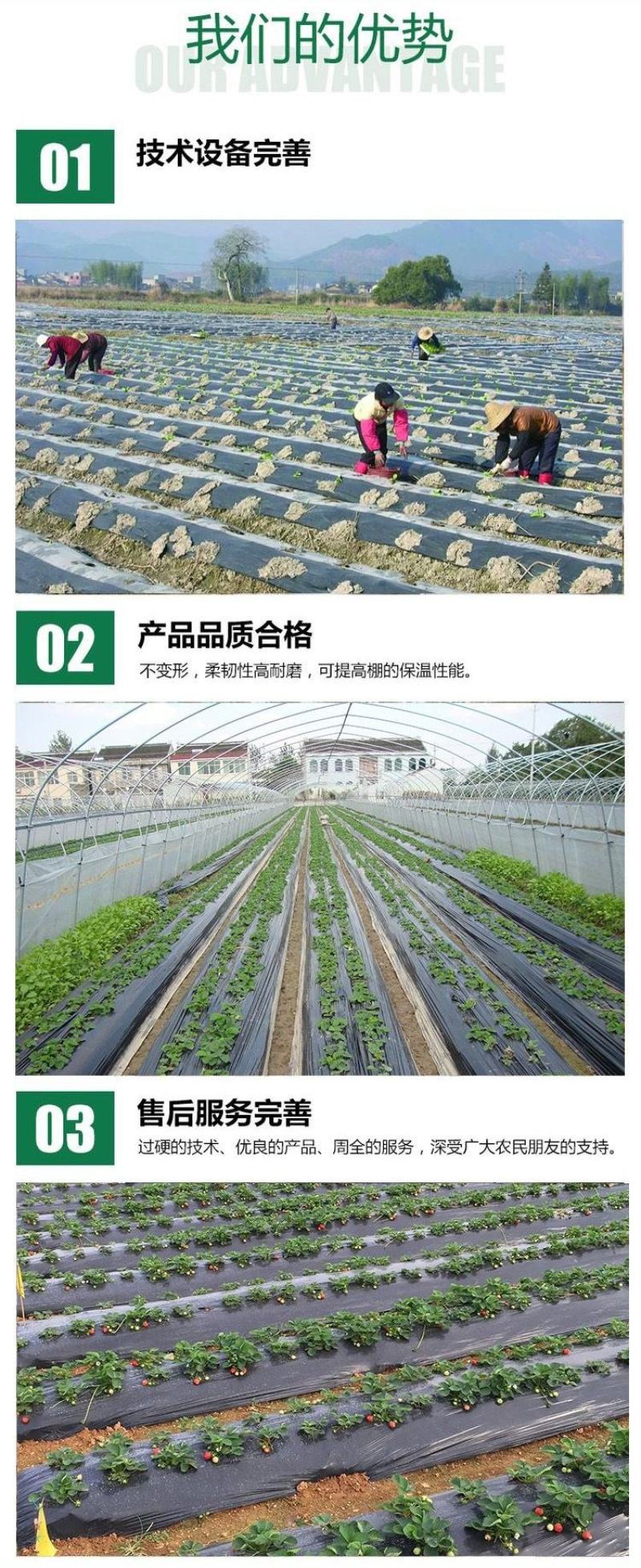 黑色地膜，抑制杂草抑制地表升温，特殊规格可定制，源头厂家