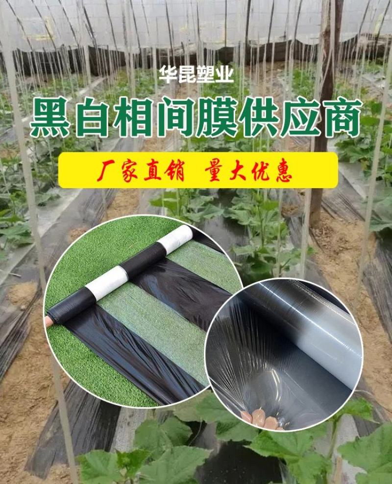 黑白相间地膜，支持定做，源头厂家，增产增收