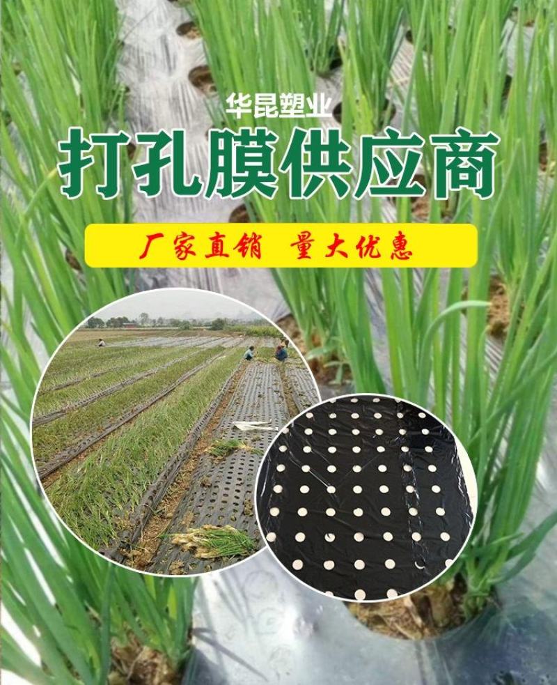 打孔地膜，支持定做，源头厂家，量大优惠。