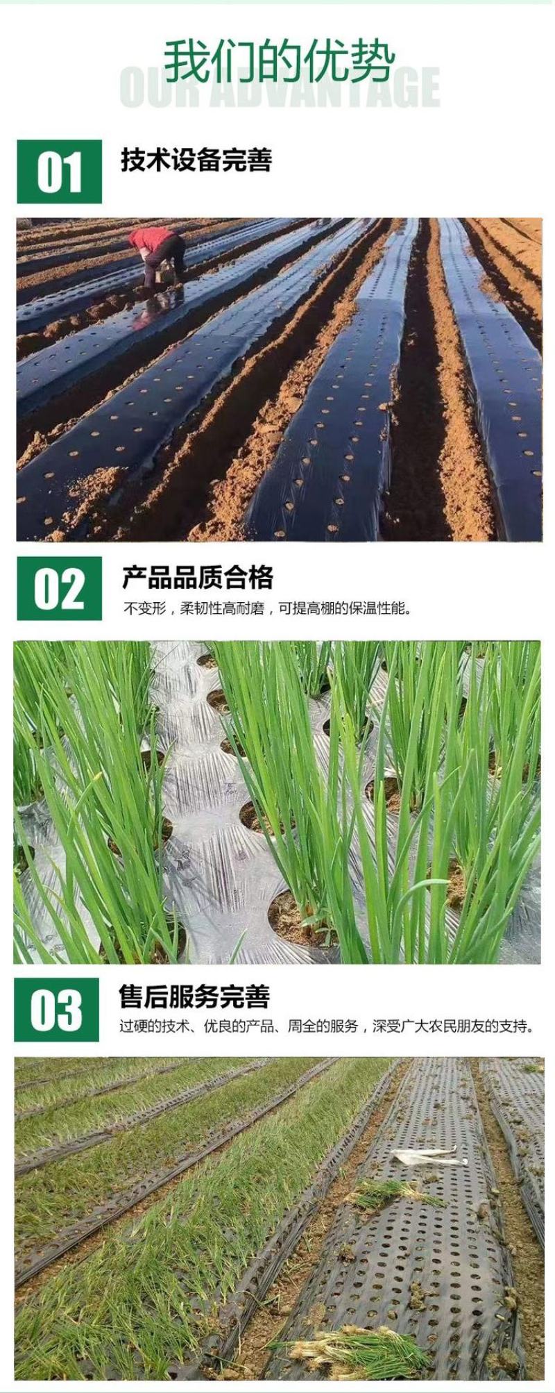 打孔地膜，支持定做，源头厂家，量大优惠。