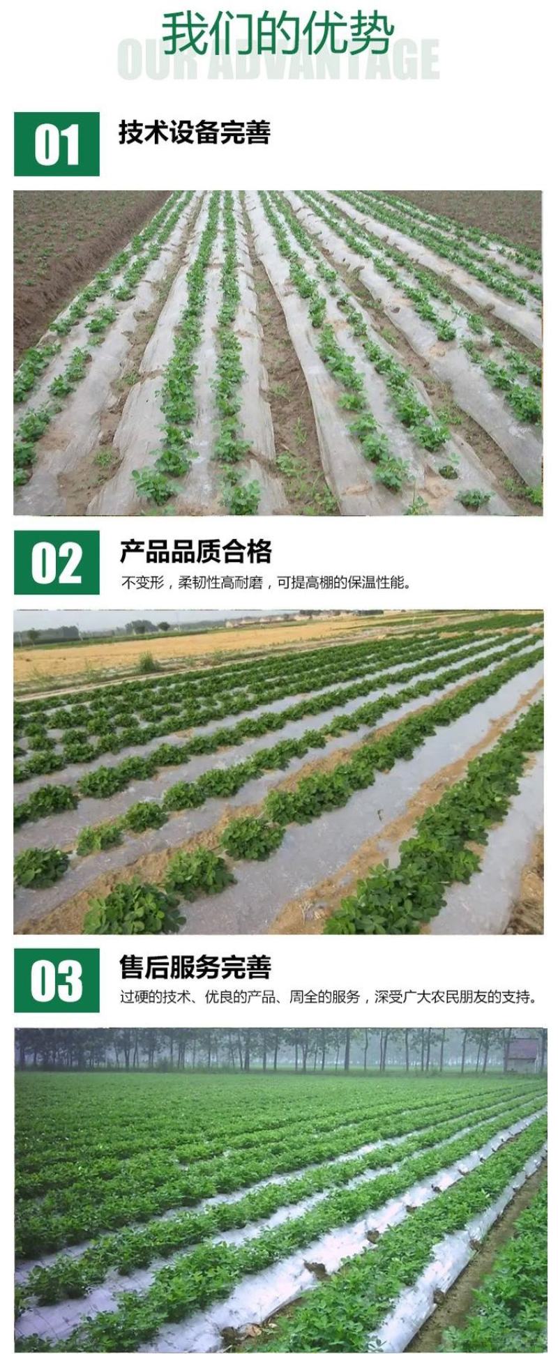 降解地膜新型纯生物淀粉基可按您规格生产源头厂家一手