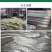 针孔膜源头厂家规格可定制量大优惠拉伸度强透气性好