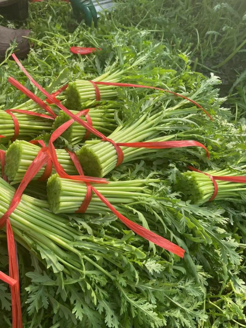 光杆茼蒿