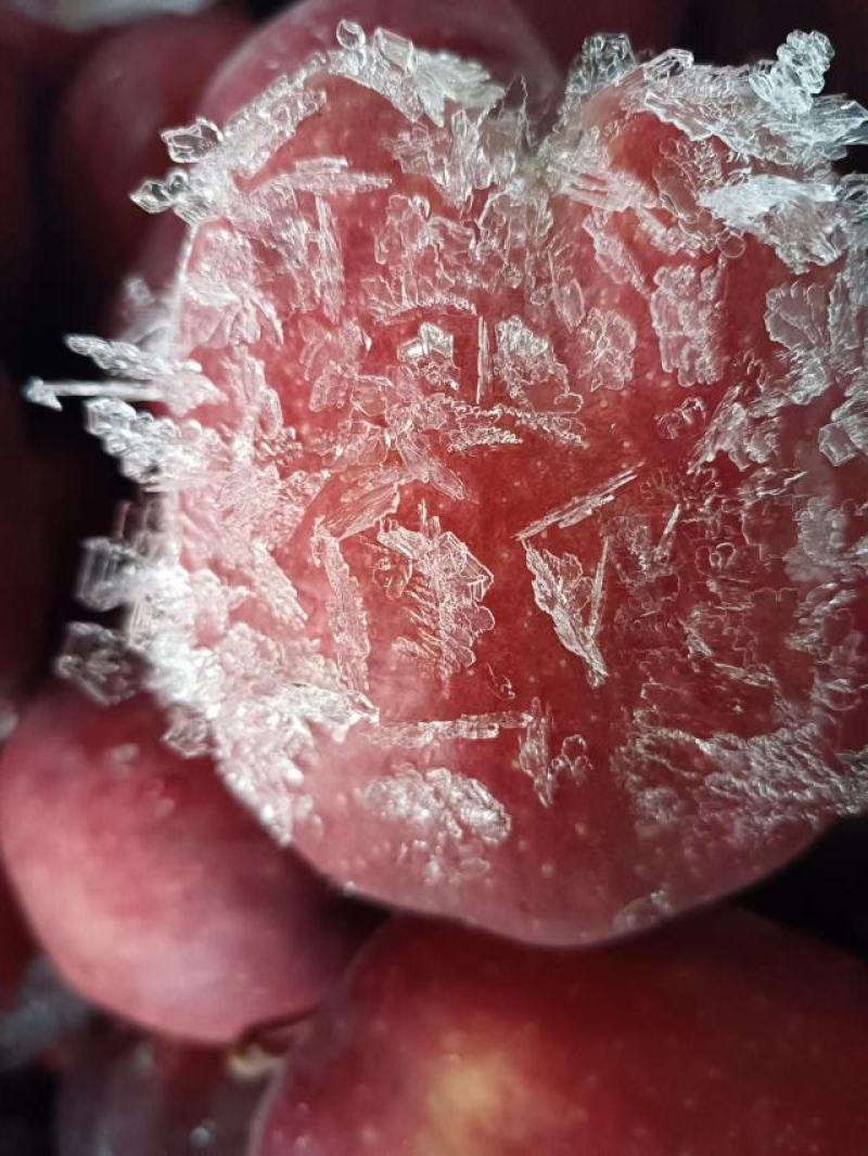 花牛苹果有需要的可以联系
