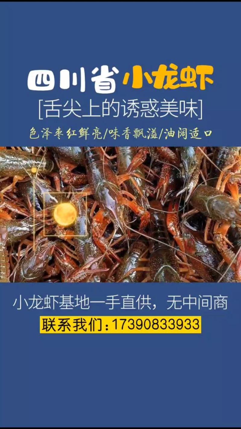 冰鲜小龙虾，虾尾。肉质Q谈。一级尾。欢迎合作