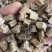 柴葛根，大量过筛现货再售，要的朋友下单或私聊我