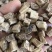 柴葛根，大量过筛现货再售，要的朋友下单或私聊我