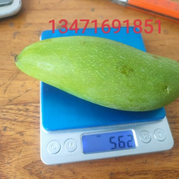 红象牙金煌红贵妃