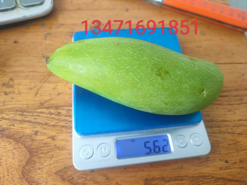 红象牙金煌红贵妃
