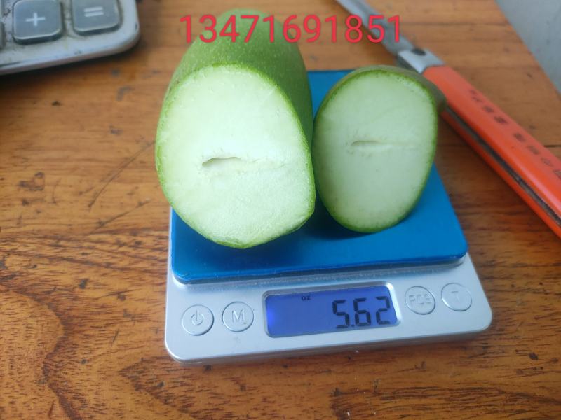 红象牙金煌红贵妃