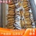 冬虫夏草新鲜现挖量大从优规格齐全欢迎致电咨询
