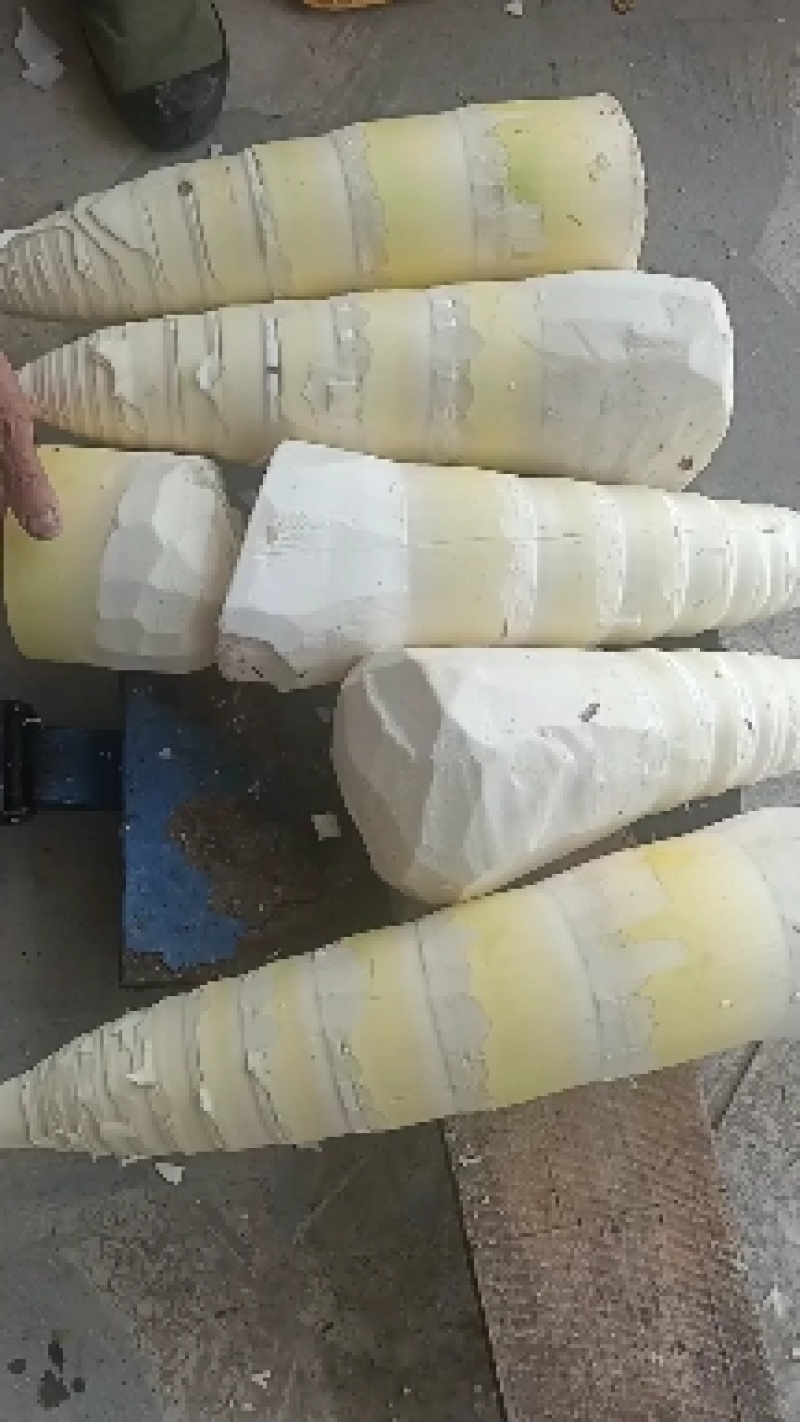 广西麻竹笋