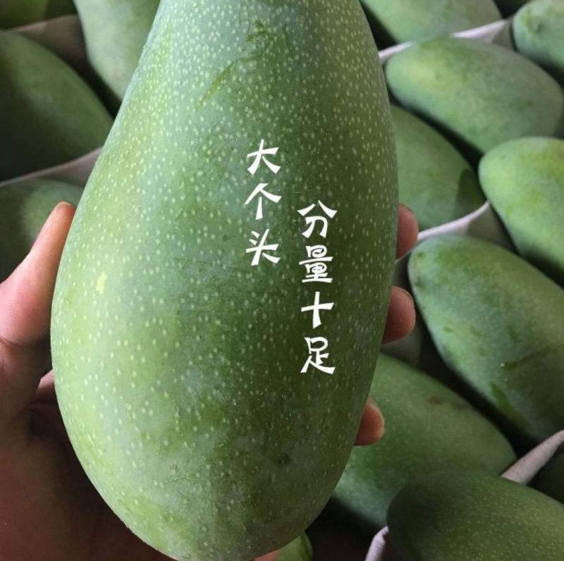 芒果