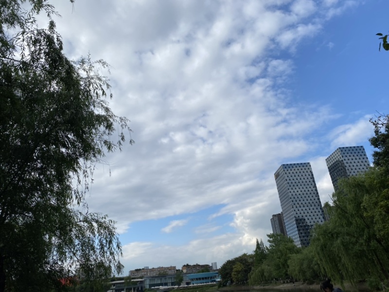 苹果