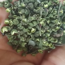 正宗江津九叶青干花椒青花椒开口好颜色好的的青花椒