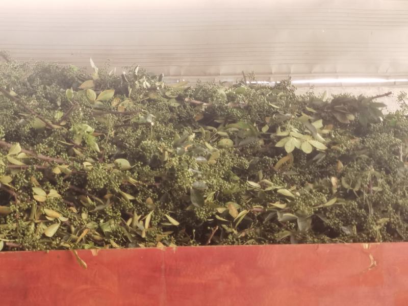 正宗江津九叶青干花椒青花椒开口好颜色好的的青花椒