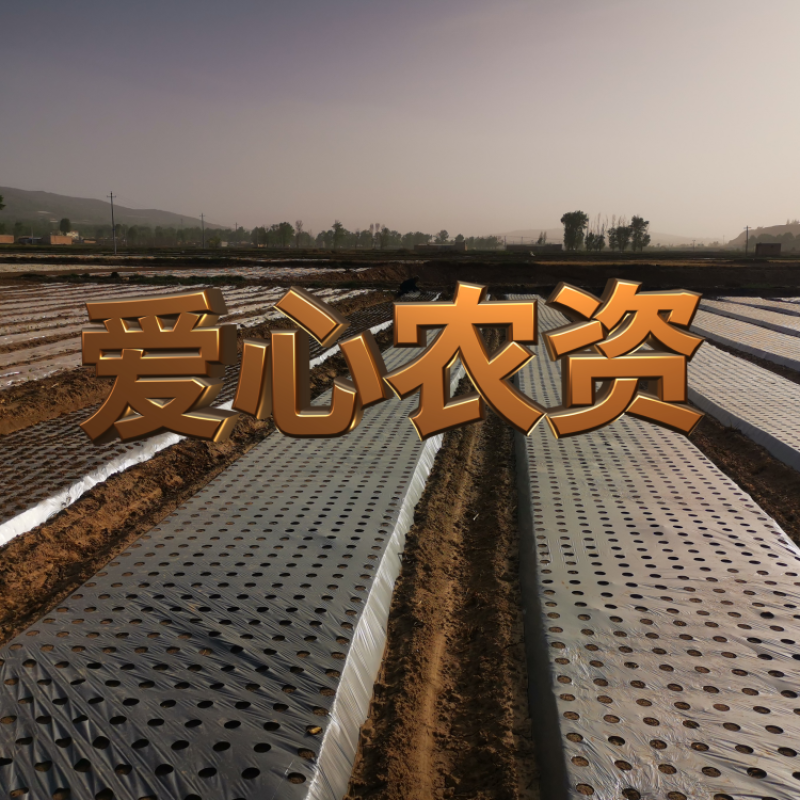 打孔地膜药材蔬菜瓜果黑膜白膜银黑膜防草保湿保肥保墒耐高温