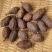 云南干草果草果粉草果批发香料调味料炖肉卤肉煮火锅料调