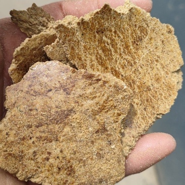 玉米胚芽饼（加工原理玉米胚芽和玉米皮熟化混合压榨）