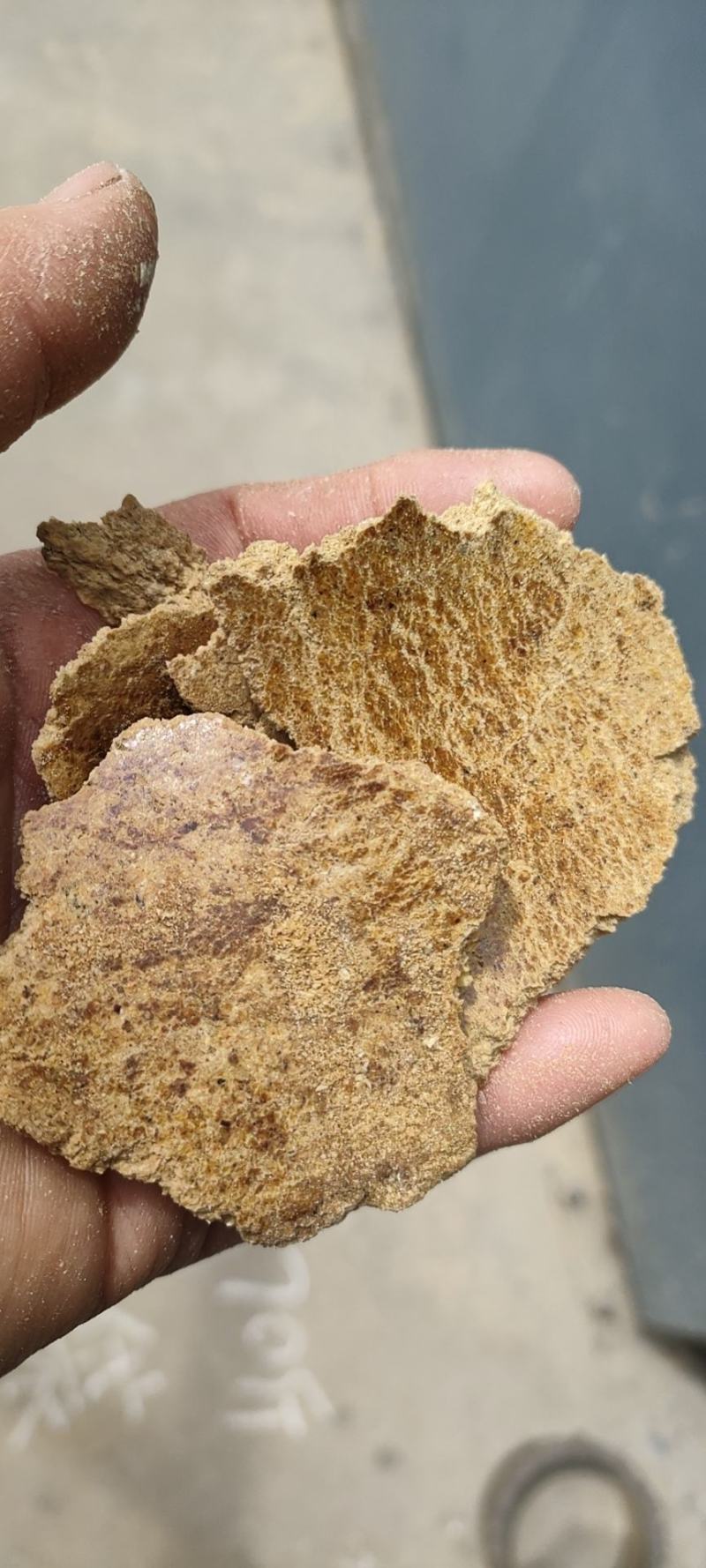 玉米胚芽饼（加工原理玉米胚芽和玉米皮熟化混合压榨）