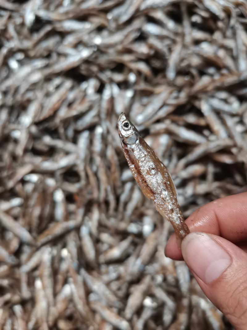 油炸开肚小白条，油炸白肖，开肚白肖，开肚白条