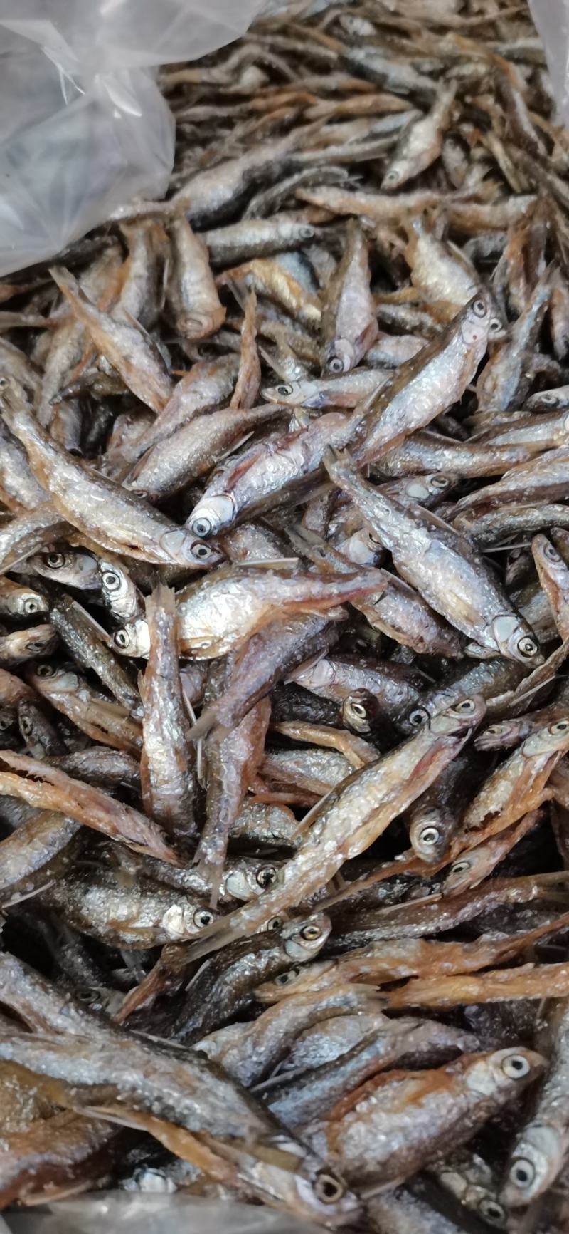 油炸开肚小白条，油炸白肖，开肚白肖，开肚白条