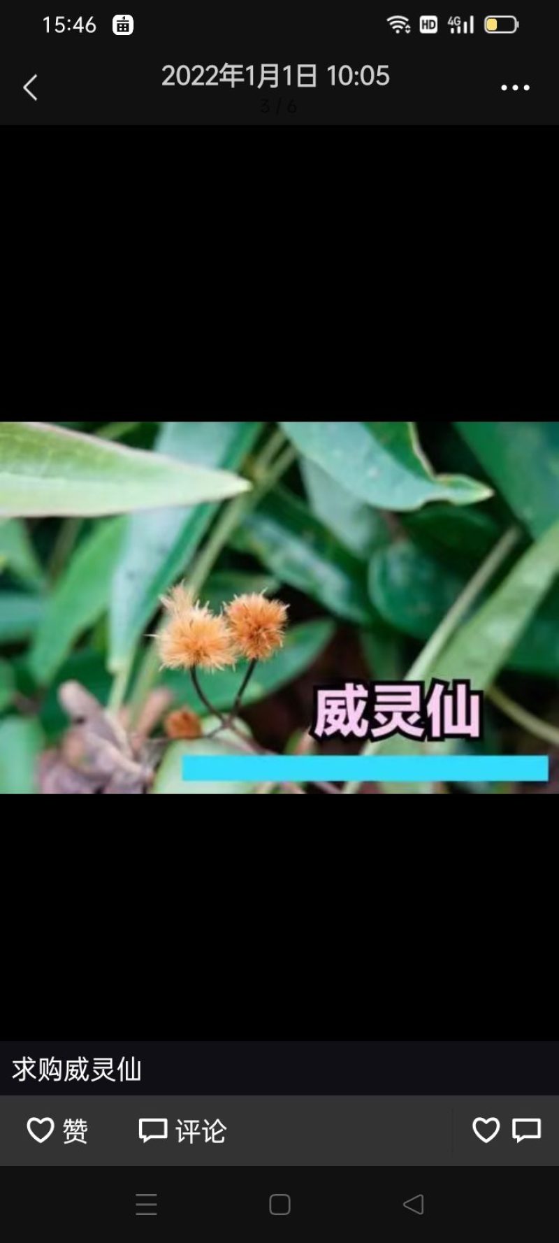 江西野生威灵仙请大家放购买没水洗