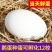 大三花鹅蛋种蛋受精蛋可孵化6枚5枚五龙鹅新鲜四季鹅泰州鹅
