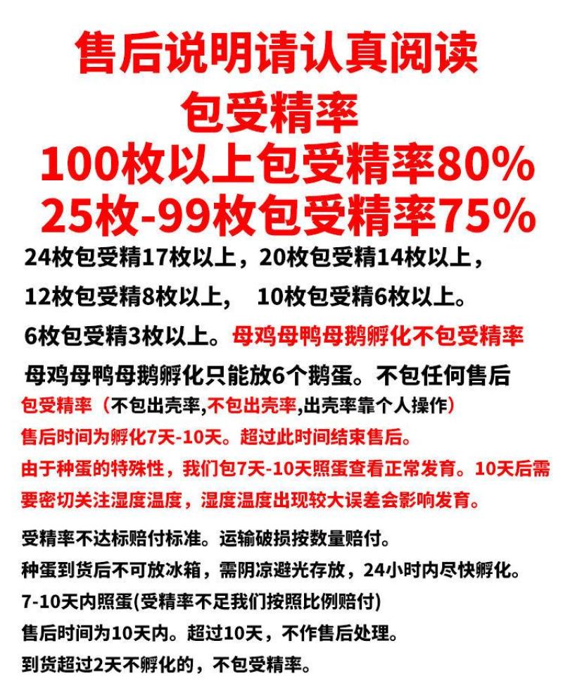 大三花鹅蛋种蛋受精蛋可孵化6枚5枚五龙鹅新鲜四季鹅泰州鹅