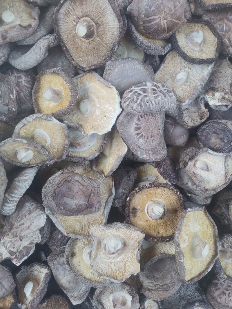 干香菇大片，精选加工，去除杂质，大量供应