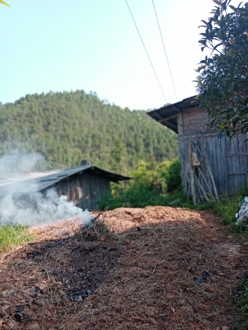 鱼塘，农庄，林地出租整场一百多亩，交通方便，水电齐全。