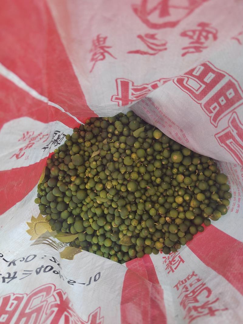 枳实，落地果，小柑橘