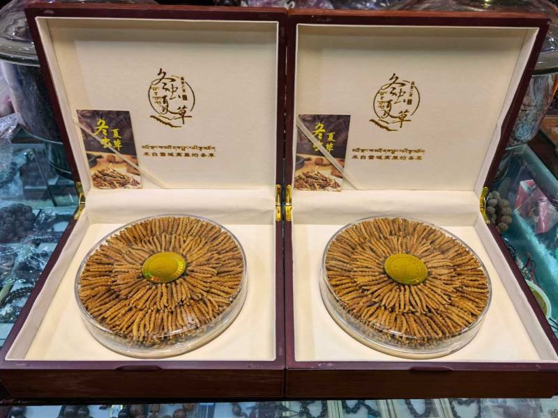 冬虫夏草，虫草，虫草！一包烟就换几根，量大从优！