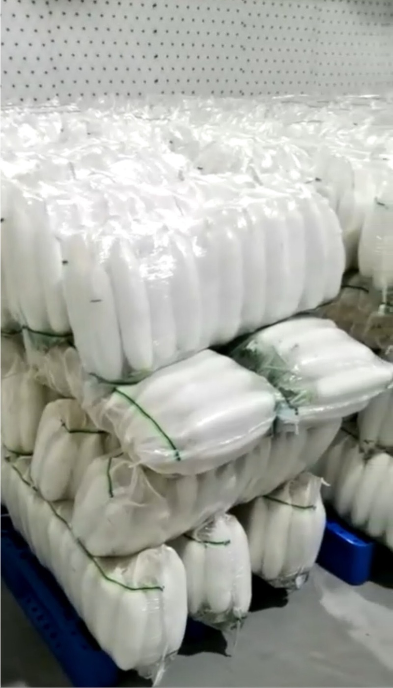 河北涞水精品春季白萝卜新鲜上市，条形好，个头美。品质优