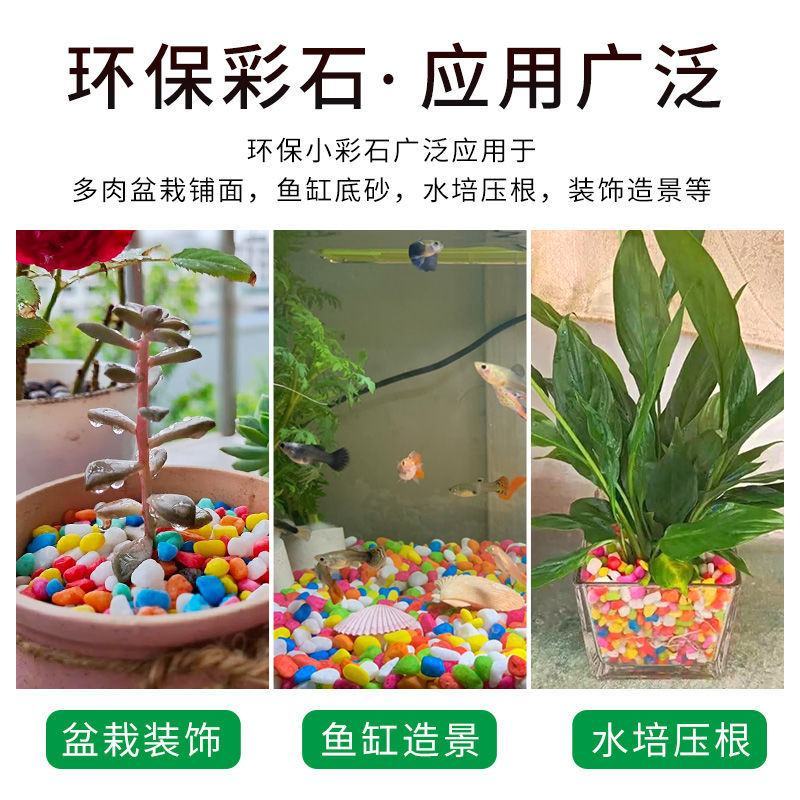 多肉铺面石花盆栽花卉装饰彩石子园艺彩色小石头鱼缸造景五彩
