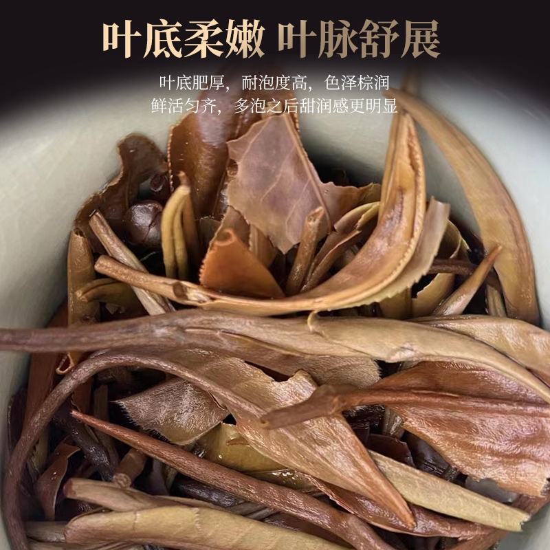 云南月光白一芽一叶200g饼2021年头春古树料白茶