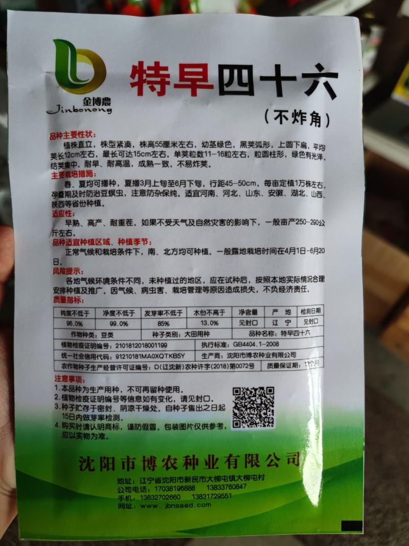 早四十六绿豆种子，50克，成熟一致不炸荚