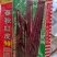 春秋红皮90红豇豆种子，200克