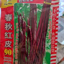春秋红皮90红豇豆种子，200克