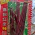 春秋红皮90红豇豆种子，200克
