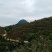 农家山茶油
