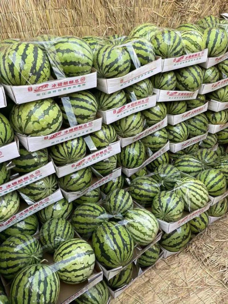 西瓜精品8424美都新鲜上市产地直销包熟包甜对接全国