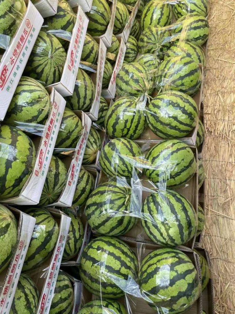 西瓜精品8424美都新鲜上市产地直销包熟包甜对接全国