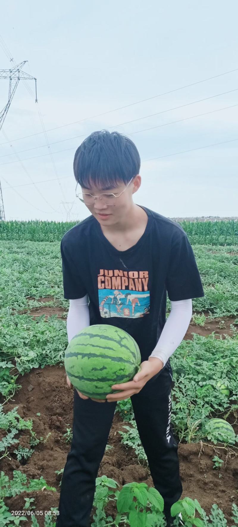西瓜精品8424美都新鲜上市产地直销包熟包甜对接全国