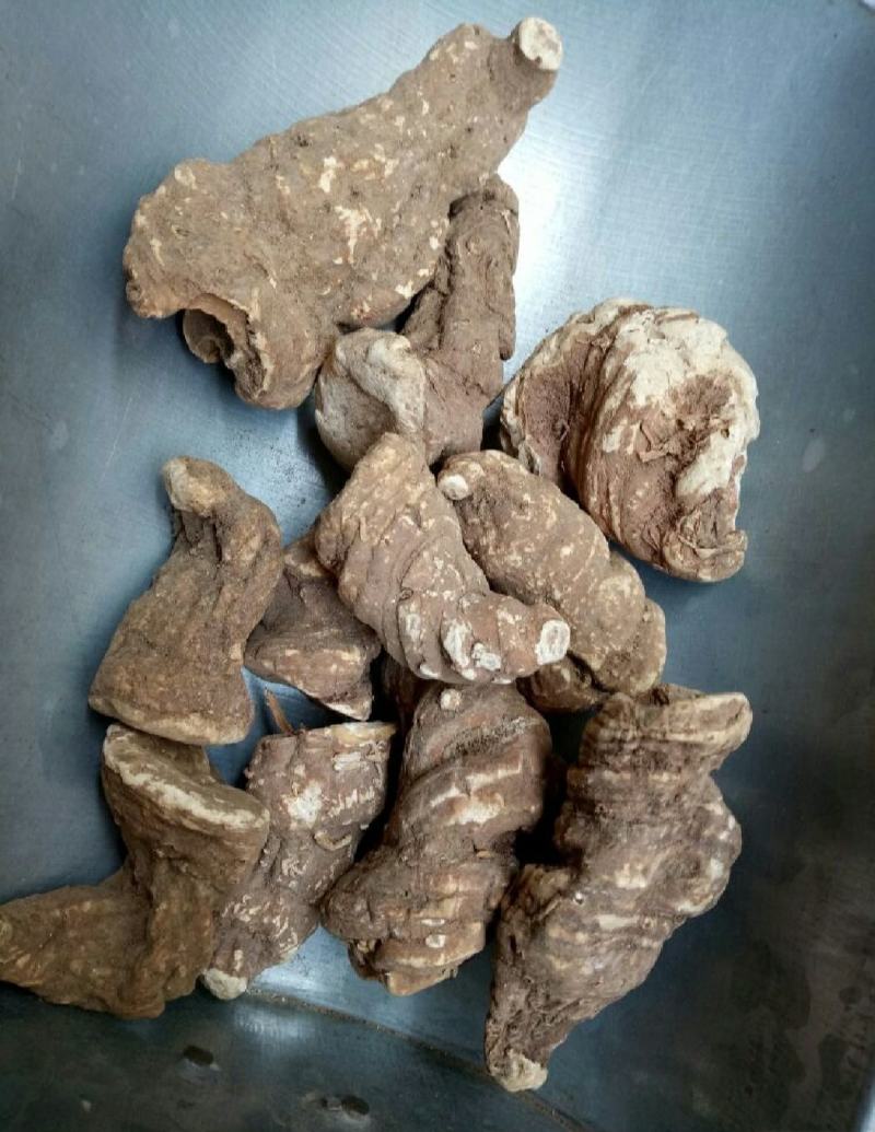 重楼干货重楼中药材欢迎选购！量大从优！