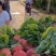 春雪桃来了，口感好耐运输