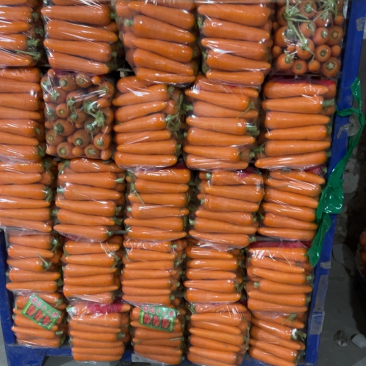 精品中条，大头次品