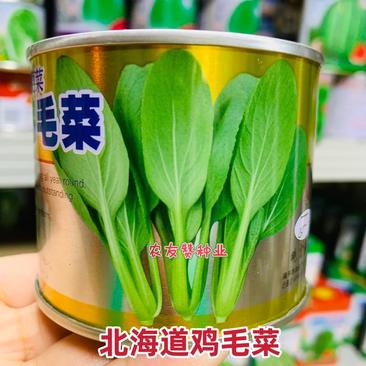晓富北海道鸡毛菜种子耐热耐雨品质甜嫩找青菜种子夏秋种